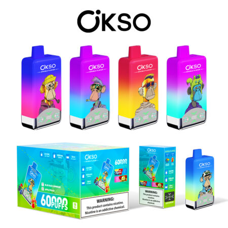 Puff 60k rechargeable disposable vape in hand