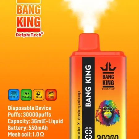 Bang King 30K 30000 puffs rechargeable vape box