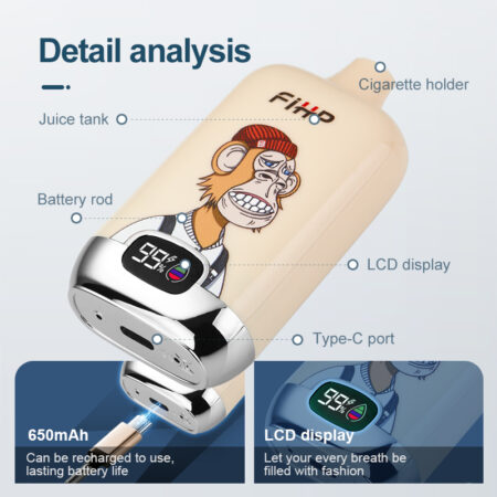 FIHP 12K Rechargeable Vape Pen with LED Display